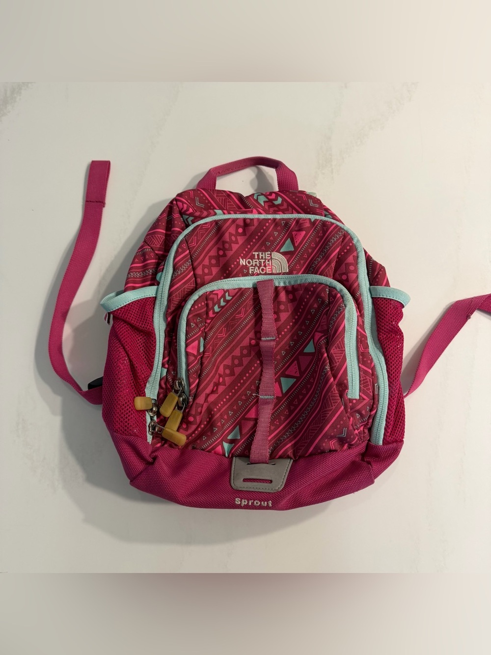 The North Face Kids Sprout Pink Backpack with Aqua Trim